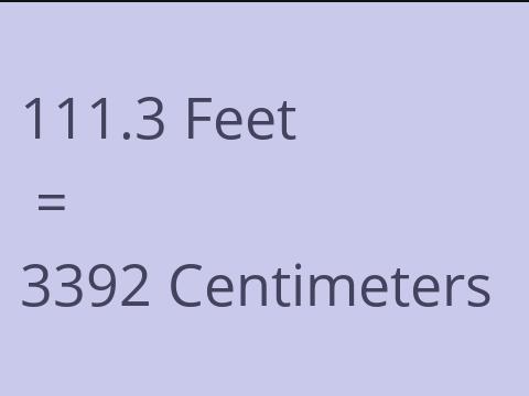 111.3 FEET TO CM