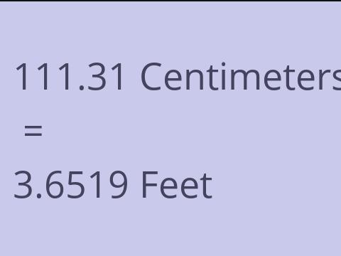 111.31 CM TO FEET