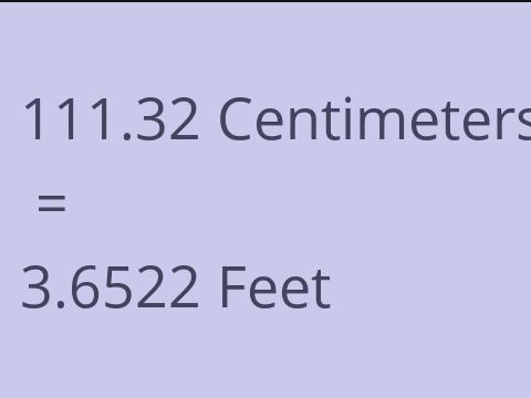 111.32 CM TO FEET