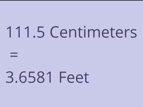 111.5 CM TO FEET