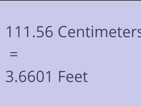 111.56 CM TO FEET