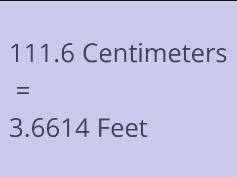 111.6 CM TO FEET