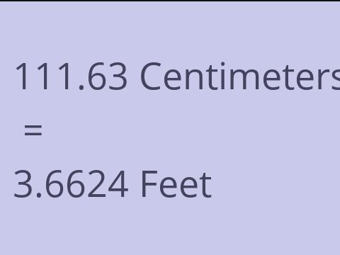 111.63 CM TO FEET