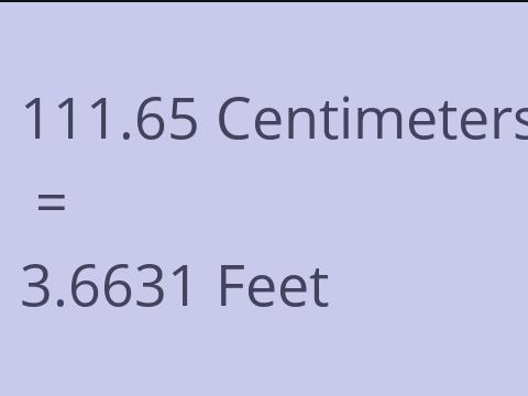 111.65 CM TO FEET