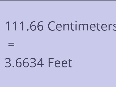 111.66 CM TO FEET