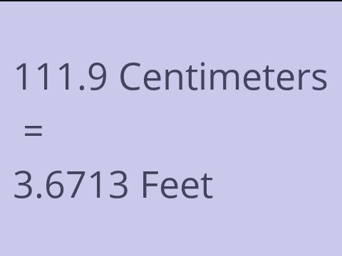 111.9 CM TO FEET