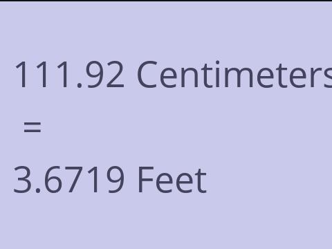 111.92 CM TO FEET