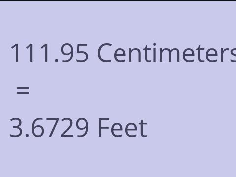 111.95 CM TO FEET