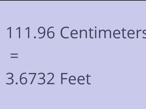 111.96 CM TO FEET