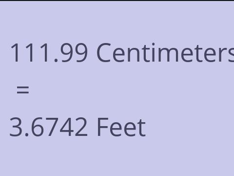 111.99 CM TO FEET