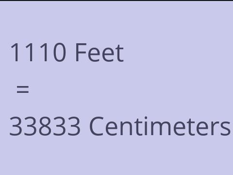 1110 FEET TO CM