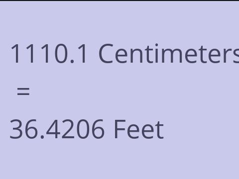 1110.1 CM TO FEET