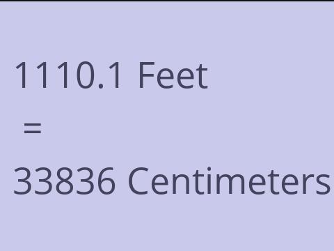 1110.1 FEET TO CM