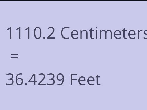 1110.2 CM TO FEET