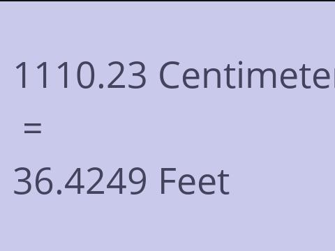 1110.23 CM TO FEET