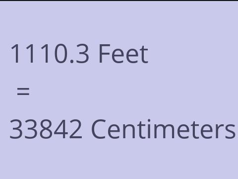 1110.3 FEET TO CM