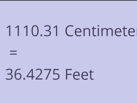 1110.31 CM TO FEET