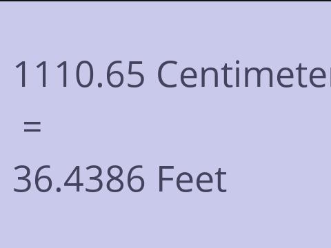 1110.65 CM TO FEET