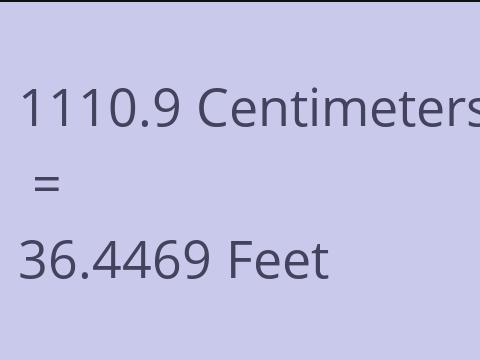 1110.9 CM TO FEET