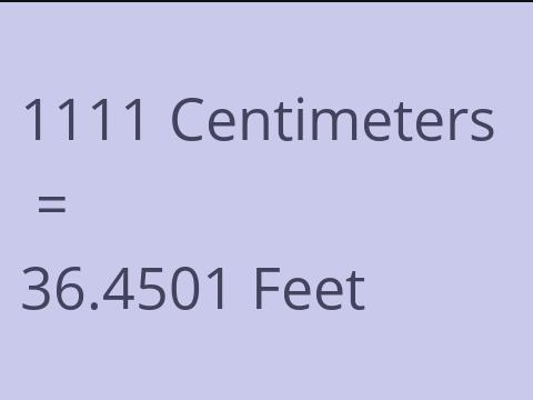 1111 CM TO FEET