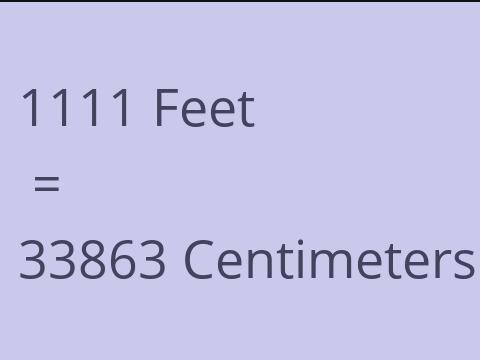 1111 FEET TO CM