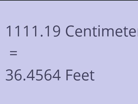 1111.19 CM TO FEET