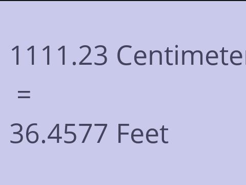 1111.23 CM TO FEET