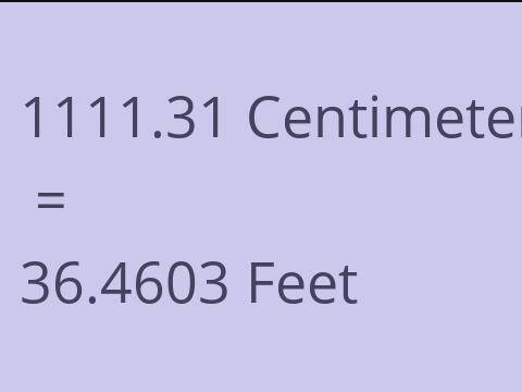 1111.31 CM TO FEET