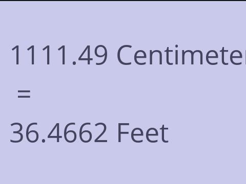 1111.49 CM TO FEET