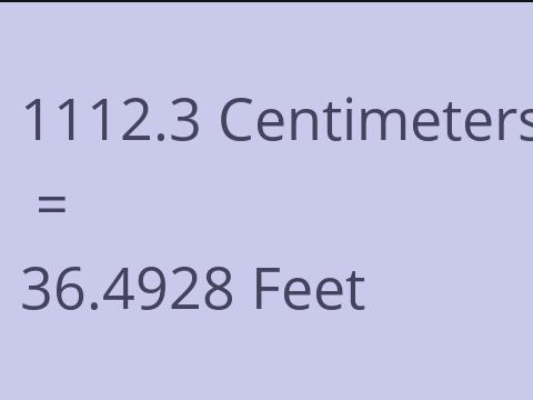 1112.3 CM TO FEET