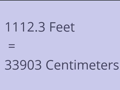 1112.3 FEET TO CM