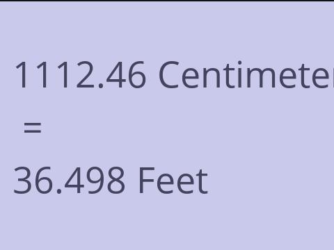 1112.46 CM TO FEET