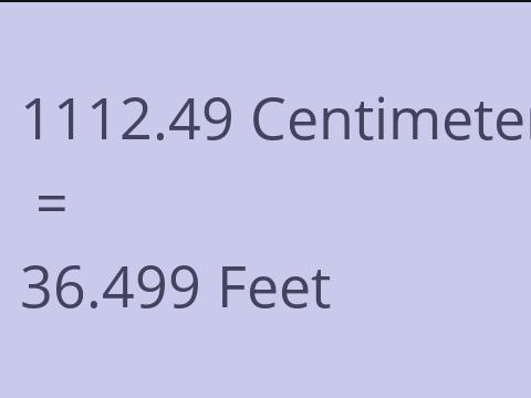 1112.49 CM TO FEET