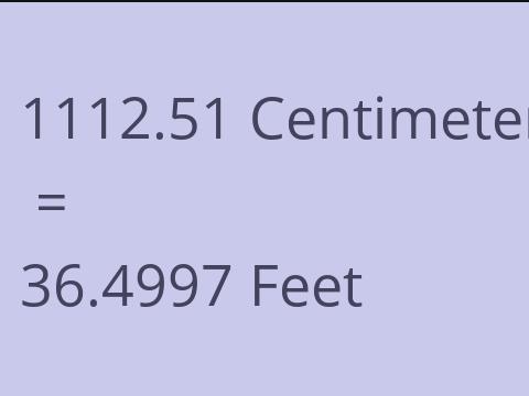 1112.51 CM TO FEET