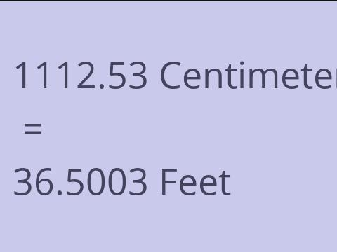 1112.53 CM TO FEET