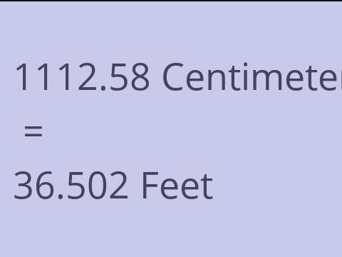 1112.58 CM TO FEET