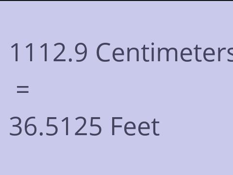 1112.9 CM TO FEET