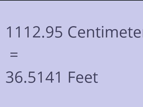 1112.95 CM TO FEET