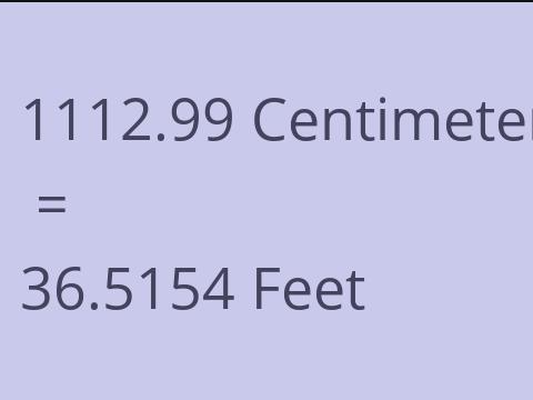 1112.99 CM TO FEET