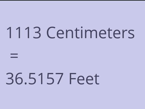 1113 CM TO FEET