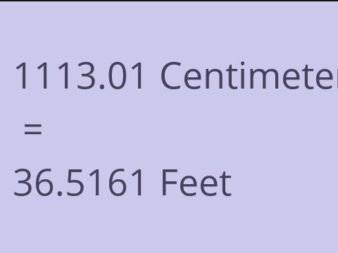 1113.01 CM TO FEET