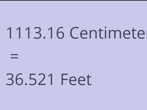 1113.16 CM TO FEET