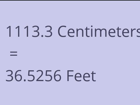 1113.3 CM TO FEET