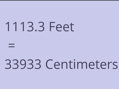 1113.3 FEET TO CM