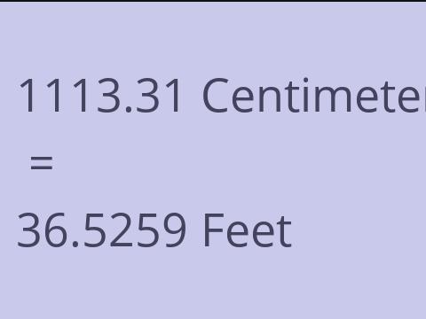 1113.31 CM TO FEET