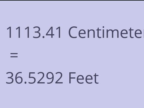 1113.41 CM TO FEET