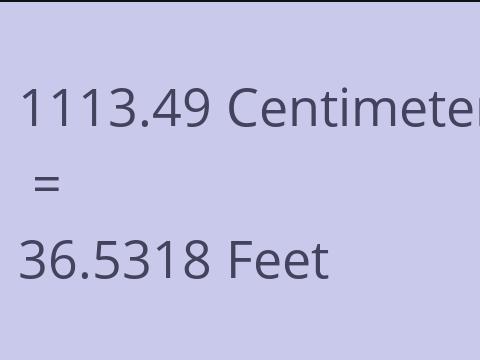 1113.49 CM TO FEET