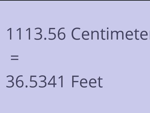 1113.56 CM TO FEET