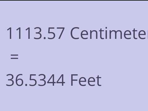 1113.57 CM TO FEET