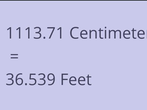 1113.71 CM TO FEET